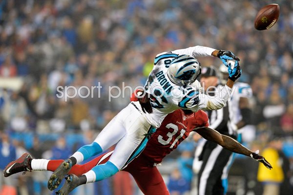 Wild Card Playoffs Antonio Cromartie Cardinals v Panthers