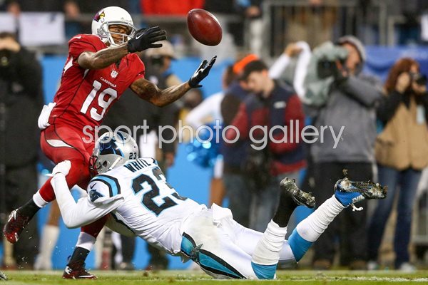 Wild Card Playoffs Melvin White Panthers v Cardinals 2015