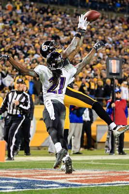 Wild Card Playoffs Martavis Bryant Steelers v Ravens 2015