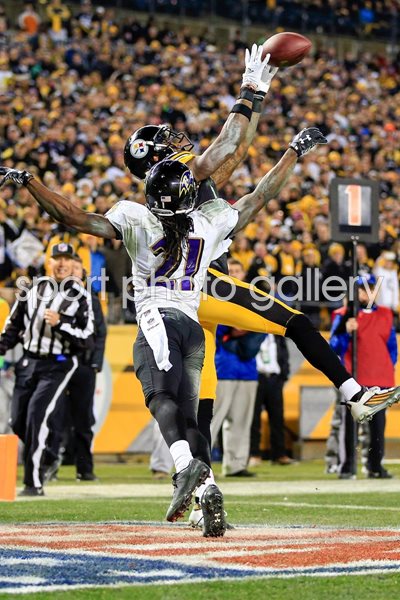 Wild Card Playoffs Martavis Bryant Steelers v Ravens 2015