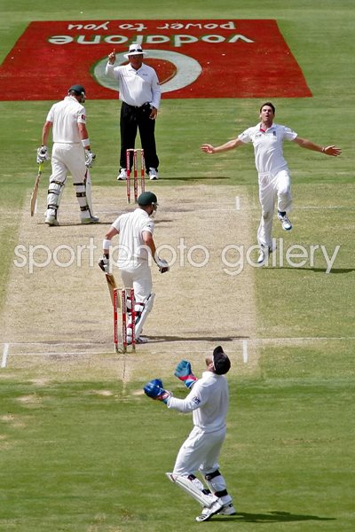 James Anderson celebrates - 2010 Ashes