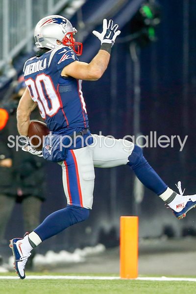 Divisional Playoffs Danny Amendola Patriots v Ravens 2015