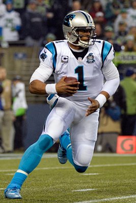 NFC Divisional Playoffs Cam Newton Panthers v Seahawks 2015