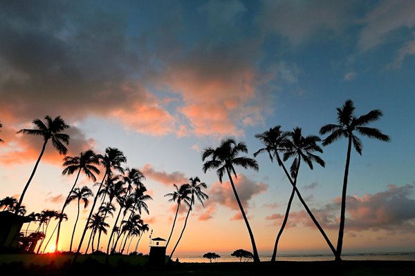 Waialae Country Club Honolulu Hawaii 16th green