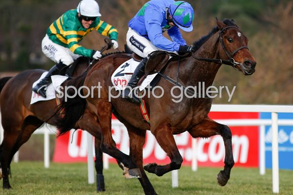 Ruby Walsh riding Hurricane Fly Leopardstown Races 2015