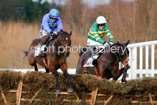 Ruby Walsh & Hurricane Fly & Tony McCoy Leopardstown Races