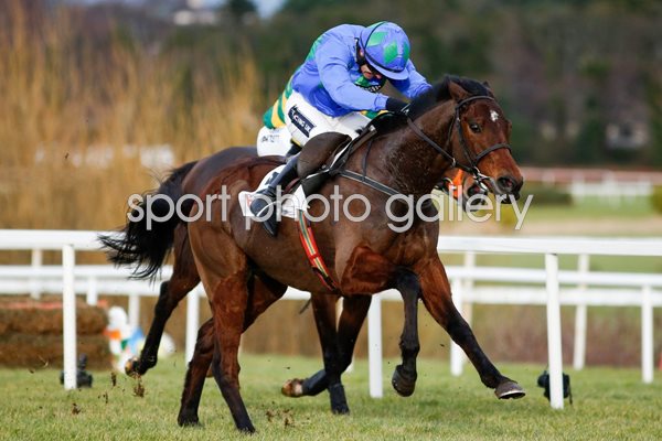 Ruby Walsh riding Hurricane Fly Leopardstown Races 2015