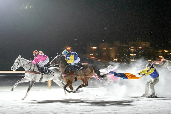 Skikjoering Switzerland 2015