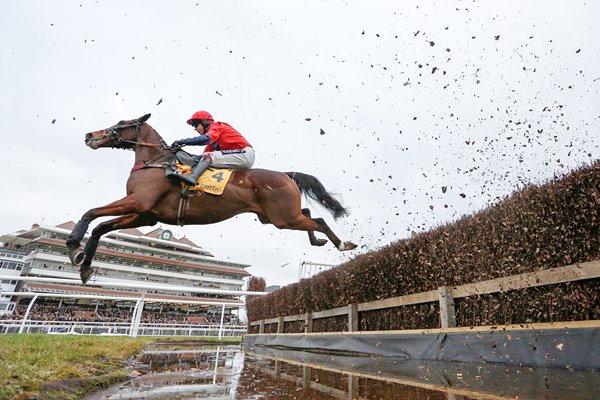 Aidan Coleman Newbury Races 2015