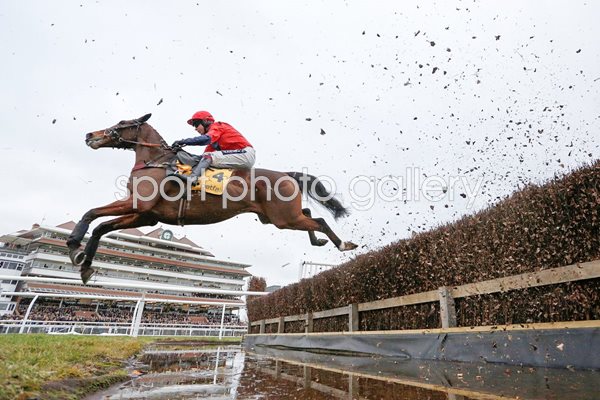 Aidan Coleman Newbury Races 2015