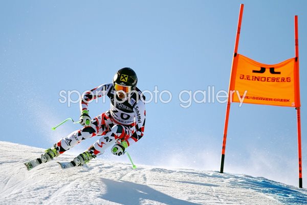 Anna Fenninger of Austria Downhill