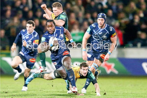 Lee Dickson Northampton Saints v Castres Olympique