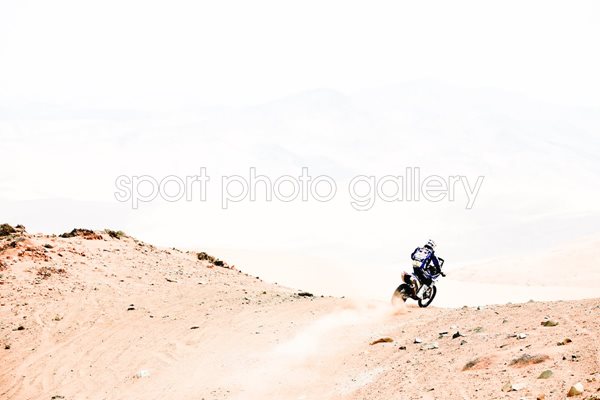 Cyril Despres Dakar Rally 2014