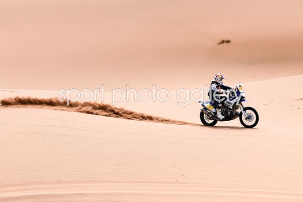 Cyril Despres Dakar Rally 2014