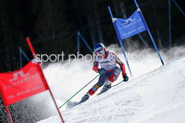 Ted Ligety USA Men's Giant Slalom