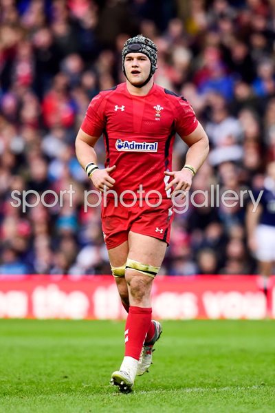Dan Lydiate Wales v Scotland 2015