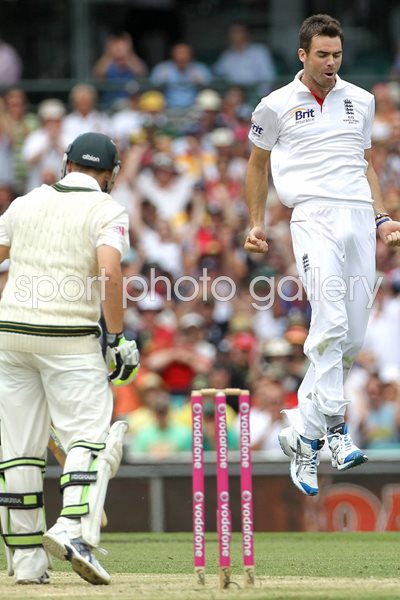 James Anderson celebrates - SCG - 2010 Ashes