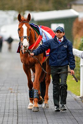 Sire De Grugy Chepstow Races 2015